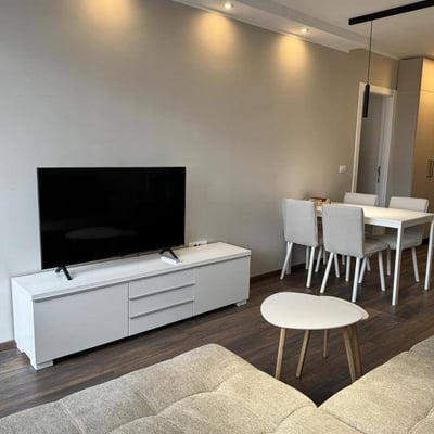 Аренда меблированной 2-комнатной квартиры в центре города, 45 м², Белград, Сербия